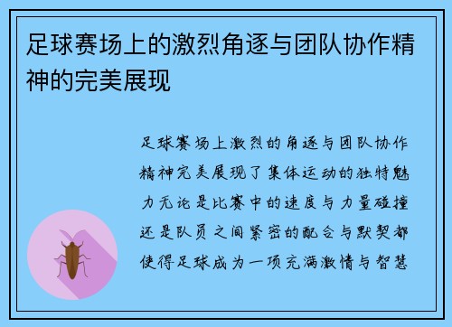 足球赛场上的激烈角逐与团队协作精神的完美展现