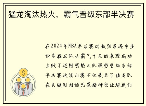 猛龙淘汰热火，霸气晋级东部半决赛