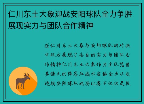 仁川东土大象迎战安阳球队全力争胜展现实力与团队合作精神