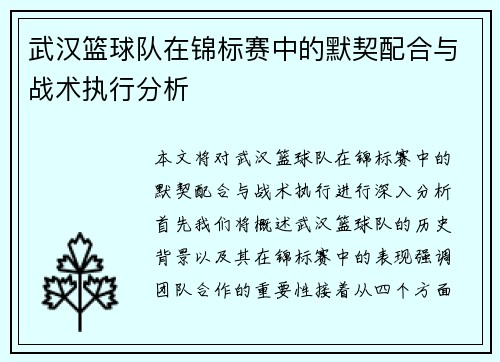 武汉篮球队在锦标赛中的默契配合与战术执行分析