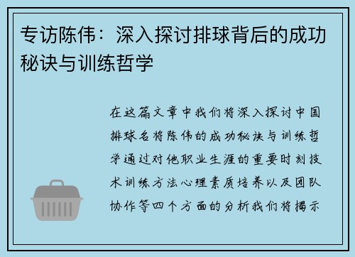 专访陈伟：深入探讨排球背后的成功秘诀与训练哲学