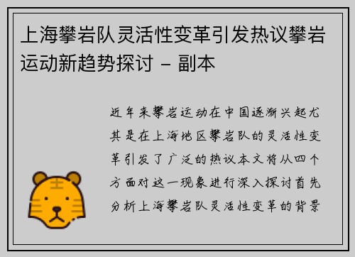 上海攀岩队灵活性变革引发热议攀岩运动新趋势探讨 - 副本