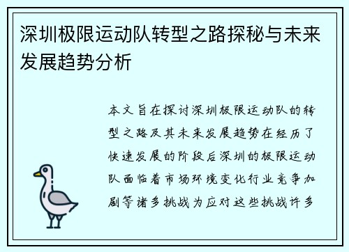 深圳极限运动队转型之路探秘与未来发展趋势分析