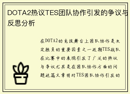 DOTA2热议TES团队协作引发的争议与反思分析